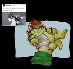 bowser from super mario bros.