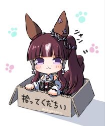 lucky lilac (umamusume) from umamusume