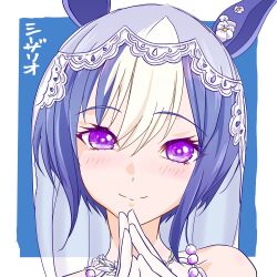 cesario (umamusume) from umamusume