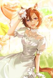 t.m. opera o (umamusume) from umamusume