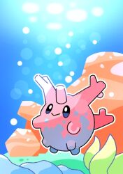 corsola from pokemon
