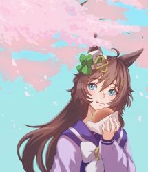 mr. c.b. (umamusume) from umamusume
