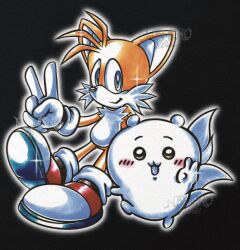 chiikawa (character) from chiikawa