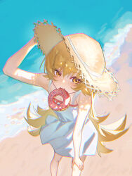 oshino shinobu from monogatari (series)