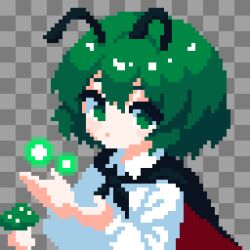 wriggle nightbug from touhou