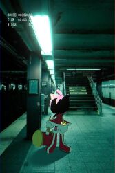amy rose from sonic (series)