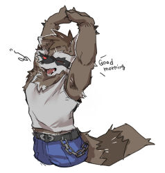rocket raccoon from guardians of the galaxy