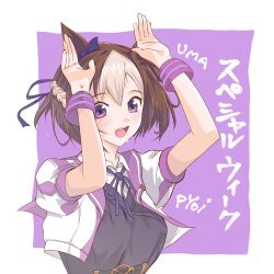 special week (umamusume) from umamusume