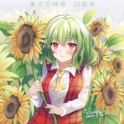 kazami yuuka from touhou by kevn