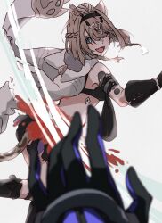 fu hua from honkai (series)
