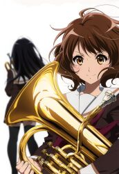 kousaka reina from hibike! euphonium