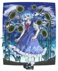 cirno from touhou