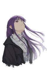 fern (sousou no frieren) from sousou no frieren