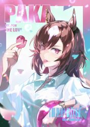 sirius symboli (umamusume) from umamusume