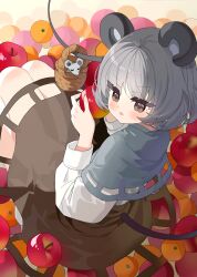 nazrin from touhou