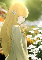 serie (sousou no frieren) from sousou no frieren