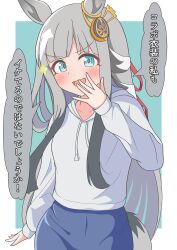 chrono genesis (umamusume) from umamusume