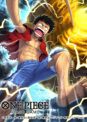 monkey d. luffy from one piece by tatsuya (atelier road)