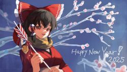 hakurei reimu from touhou