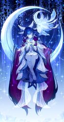 columbina (genshin impact) from genshin impact by hizuki miya