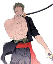 roronoa zoro from one piece
