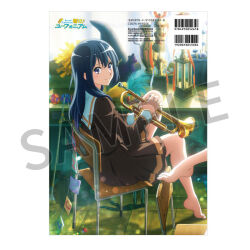 kousaka reina from hibike! euphonium