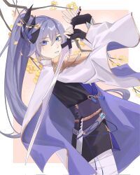 fu hua from honkai (series)