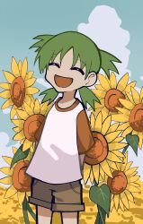 koiwai yotsuba from yotsubato!