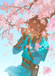 link from the legend of zelda