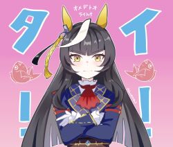 calstone light o (umamusume) from umamusume