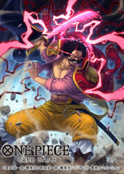 gol d. roger from one piece by tatsuya (atelier road)