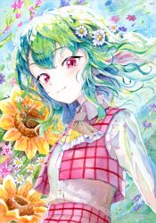 kazami yuuka from touhou by medinki