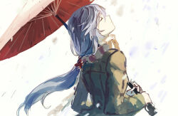 fu hua from honkai (series)