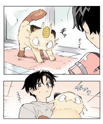 meowth from pokemon by hissing