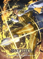 one piece fan art