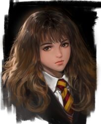 harry potter (series) fan art