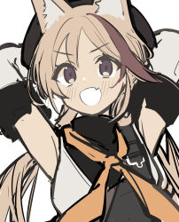 cardigan (arknights) from arknights by tetuw