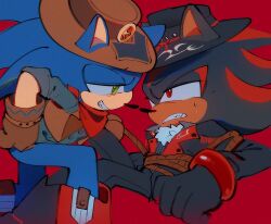 shadow the hedgehog from sonic (series)