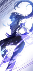 fu hua from honkai (series)