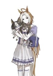 dream journey (umamusume) from umamusume