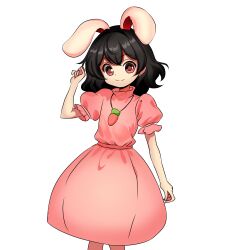 inaba tewi from touhou