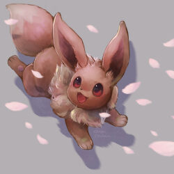 eevee from pokemon
