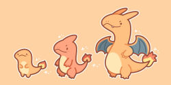 charizard from pokemon