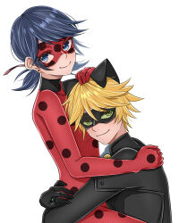 adrien agreste from miraculous ladybug