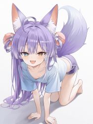 tenko shibuki from stellive
