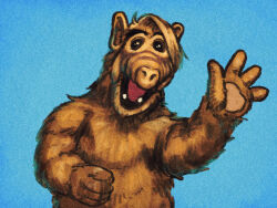 gordon shumway from alf