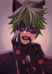 adrien agreste from miraculous ladybug