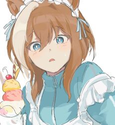 cheval grand (umamusume) from umamusume