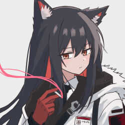 texas (arknights) from arknights