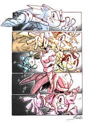 amy rose from sonic (series)